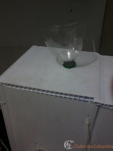 2016-07-29 21.40.27.jpg