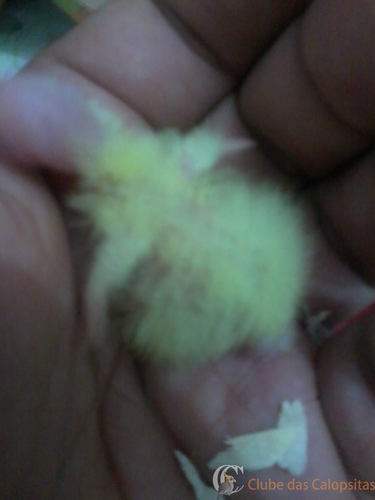 2016-07-29 20.00.15.jpg