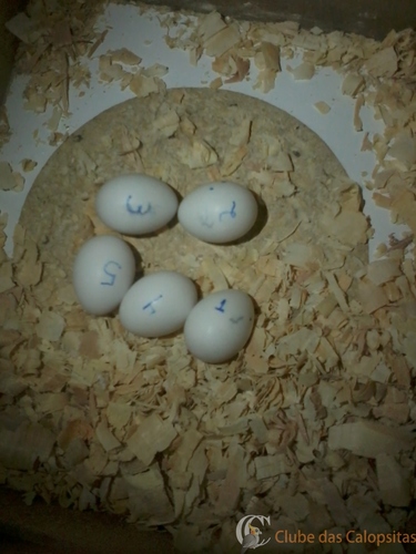 2016-07-28 20.15.21.jpg