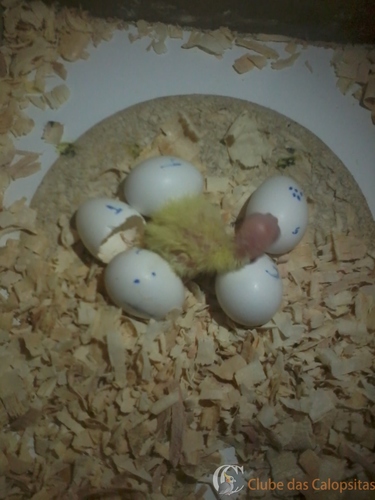 2016-07-29 19.54.02.jpg