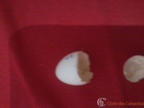 2016-07-29 19.54.40.jpg