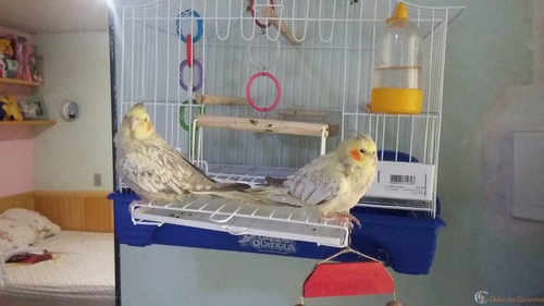 20160828_134035.jpg