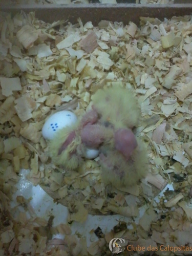 2016-08-01 20.47.35.jpg