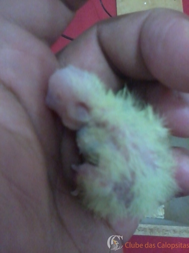 2016-08-01 20.48.01.jpg