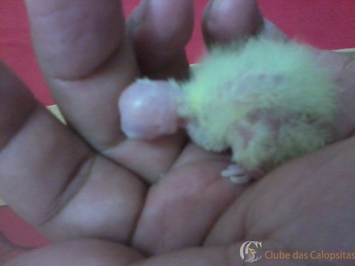 2016-08-01 20.48.32.jpg