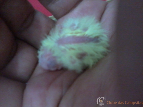 2016-08-01 20.49.04.jpg