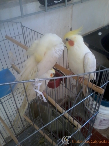 2016-08-02 13.29.45.jpg