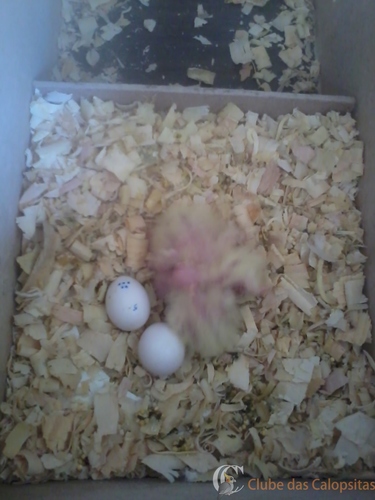 2016-08-02 13.30.12.jpg