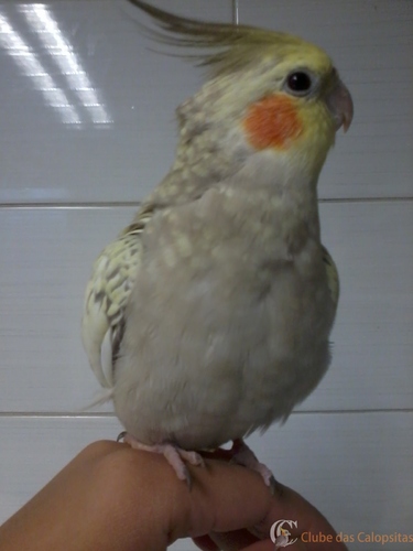 2016-04-04 17.08.24.jpg