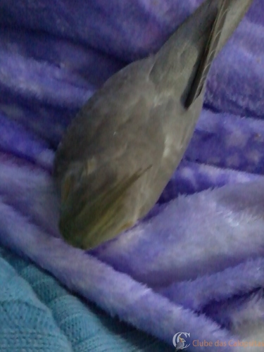 2016-06-13 19.21.40.jpg