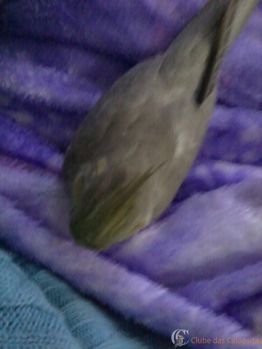 2016-06-13 19.21.44.jpg