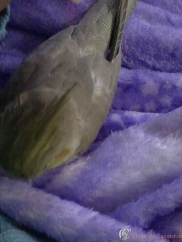 2016-06-13 19.21.58.jpg