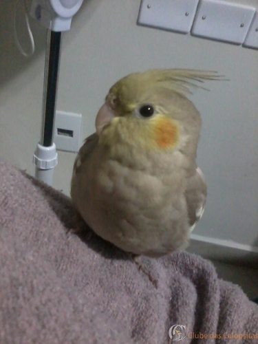 2016-08-07 19.08.23.jpg