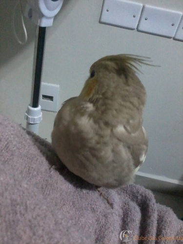 2016-08-07 19.08.25.jpg