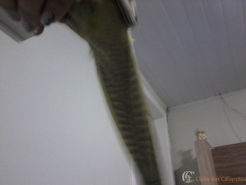 2016-08-07 19.12.34.jpg