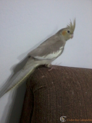 2016-08-07 19.12.55.jpg