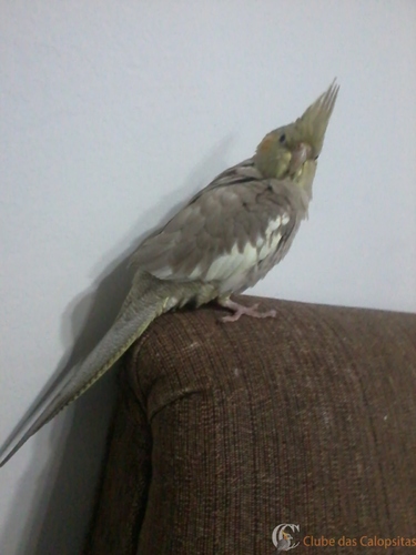 2016-08-07 19.13.01.jpg