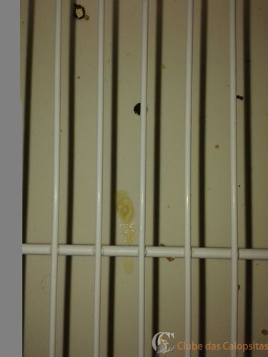 WhatsApp Image 2016-08-12 at 18.17.03.jpeg