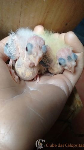 WhatsApp Image 2016-08-24 at 15.34.44.jpeg