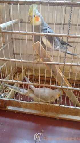 WhatsApp Image 2016-08-25 at 08.45.29.jpeg