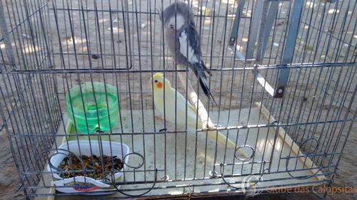 WhatsApp Image 2016-08-25 at 09.54.03.jpeg