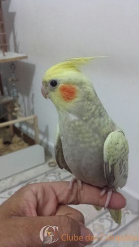 WhatsApp Image 2016-08-27 at 15.15.44(2).jpeg