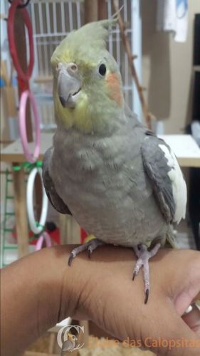 WhatsApp Image 2016-08-27 at 15.15.44(4).jpeg