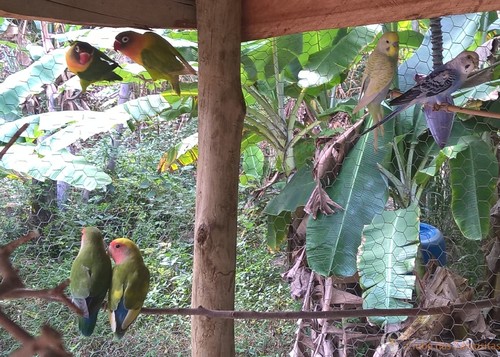 WP_20160620_12_14_39_Pro 1.jpg