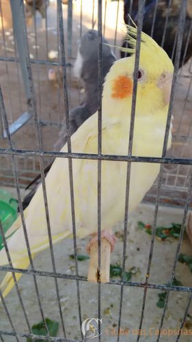 WhatsApp Image 2016-08-30 at 17.04.46.jpeg