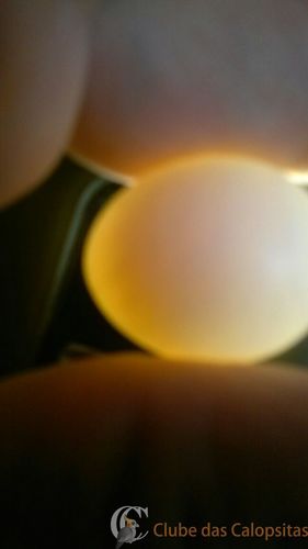 WhatsApp Image 2016-09-04 at 16.12.05.jpeg