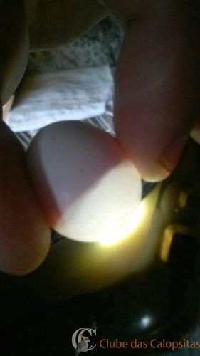 WhatsApp Image 2016-09-04 at 16.13.13.jpeg