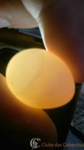 WhatsApp Image 2016-09-04 at 16.14.11.jpeg