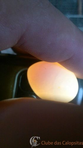 WhatsApp Image 2016-09-04 at 16.14.28.jpeg