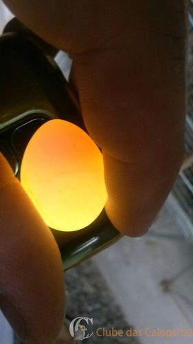 WhatsApp Image 2016-09-04 at 16.14.49.jpeg