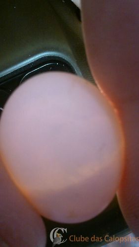 WhatsApp Image 2016-09-04 at 16.16.00.jpeg