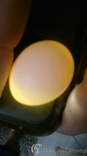 WhatsApp Image 2016-09-04 at 16.16.48.jpeg