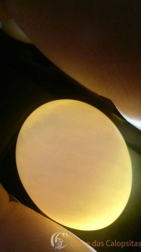 WhatsApp Image 2016-09-04 at 16.16.51.jpeg