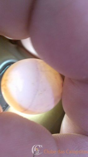 WhatsApp Image 2016-09-04 at 16.17.27.jpeg