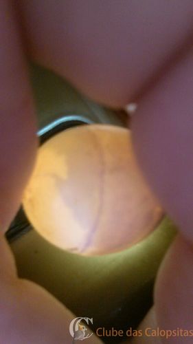 WhatsApp Image 2016-09-04 at 16.17.39.jpeg