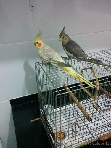 WhatsApp Image 2016-09-06 at 19.56.23.jpeg