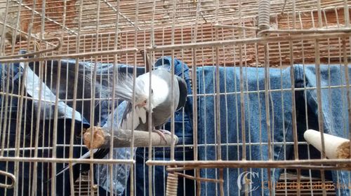 WhatsApp Image 2016-09-11 at 15.02.56 (1).jpeg