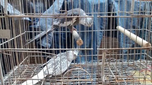 WhatsApp Image 2016-09-11 at 15.02.56 (2).jpeg