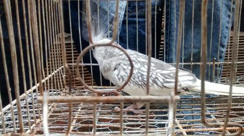 WhatsApp Image 2016-09-11 at 15.02.56.jpeg