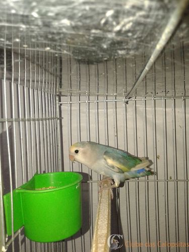 WhatsApp Image 2016-09-15 at 18.07.34 (1).jpeg