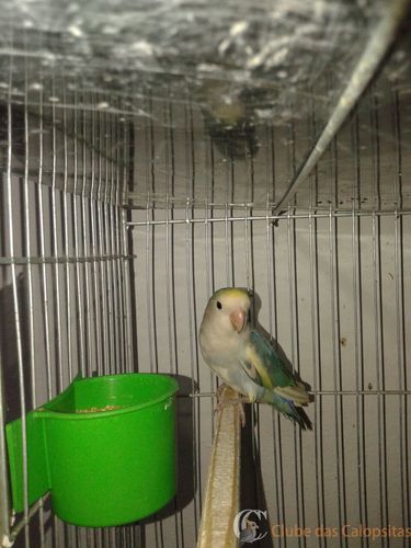 WhatsApp Image 2016-09-15 at 18.07.34.jpeg