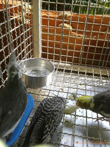 WhatsApp Image 2016-09-17 at 09.45.16.jpeg