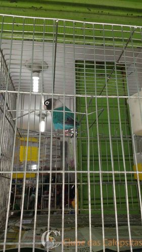 WhatsApp Image 2016-09-21 at 15.39.56.jpeg