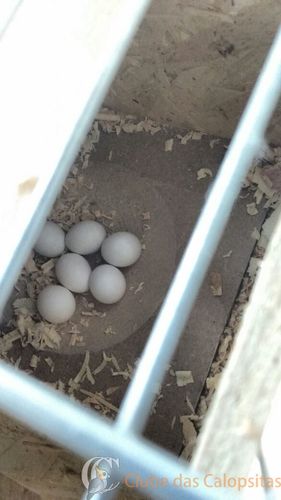 WhatsApp Image 2016-08-25 at 16.38.19.jpeg