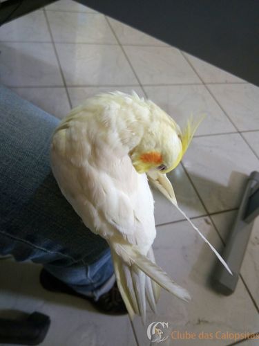 WhatsApp Image 2016-09-27 at 11.19.08 (4).jpeg