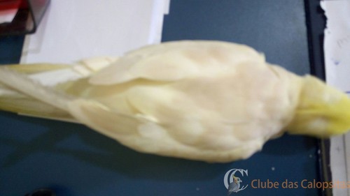 WhatsApp Image 2016-09-27 at 11.33.10.jpeg